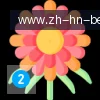 BB体育 logo
