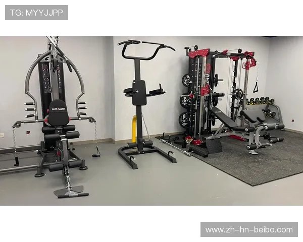 家用健身器材常用必备清单及其在体育锻炼中的应用