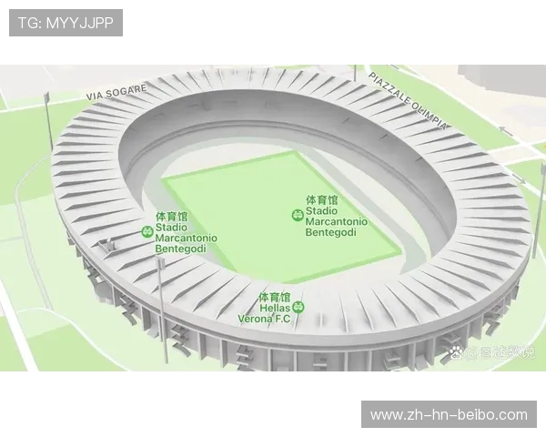 意甲球队总收入：意甲各球队的收入数据及分析。