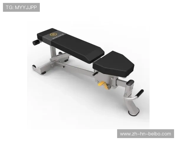 英派斯健身器材全品类一览适合哪些人群使用 英派斯健身器材全品类一览适合哪些人群使用